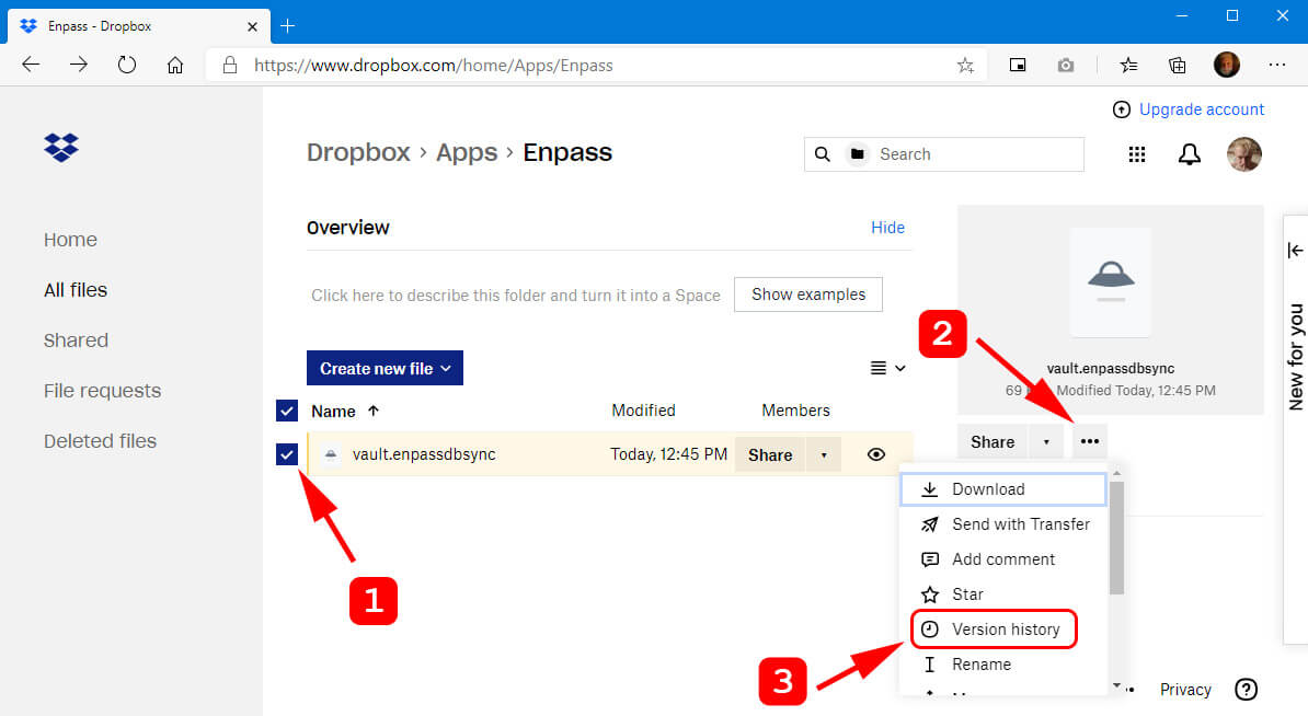 check version history option in dropbox