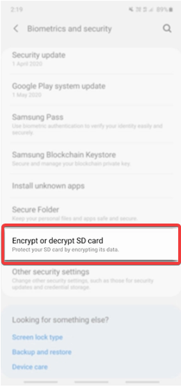 encryption option in security settings