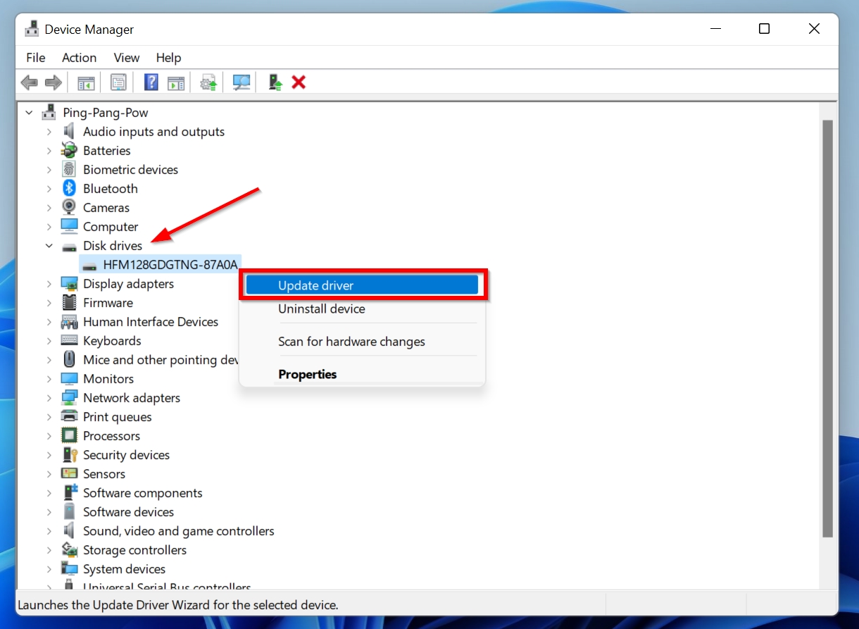 Disk Drives option in Device Manager.