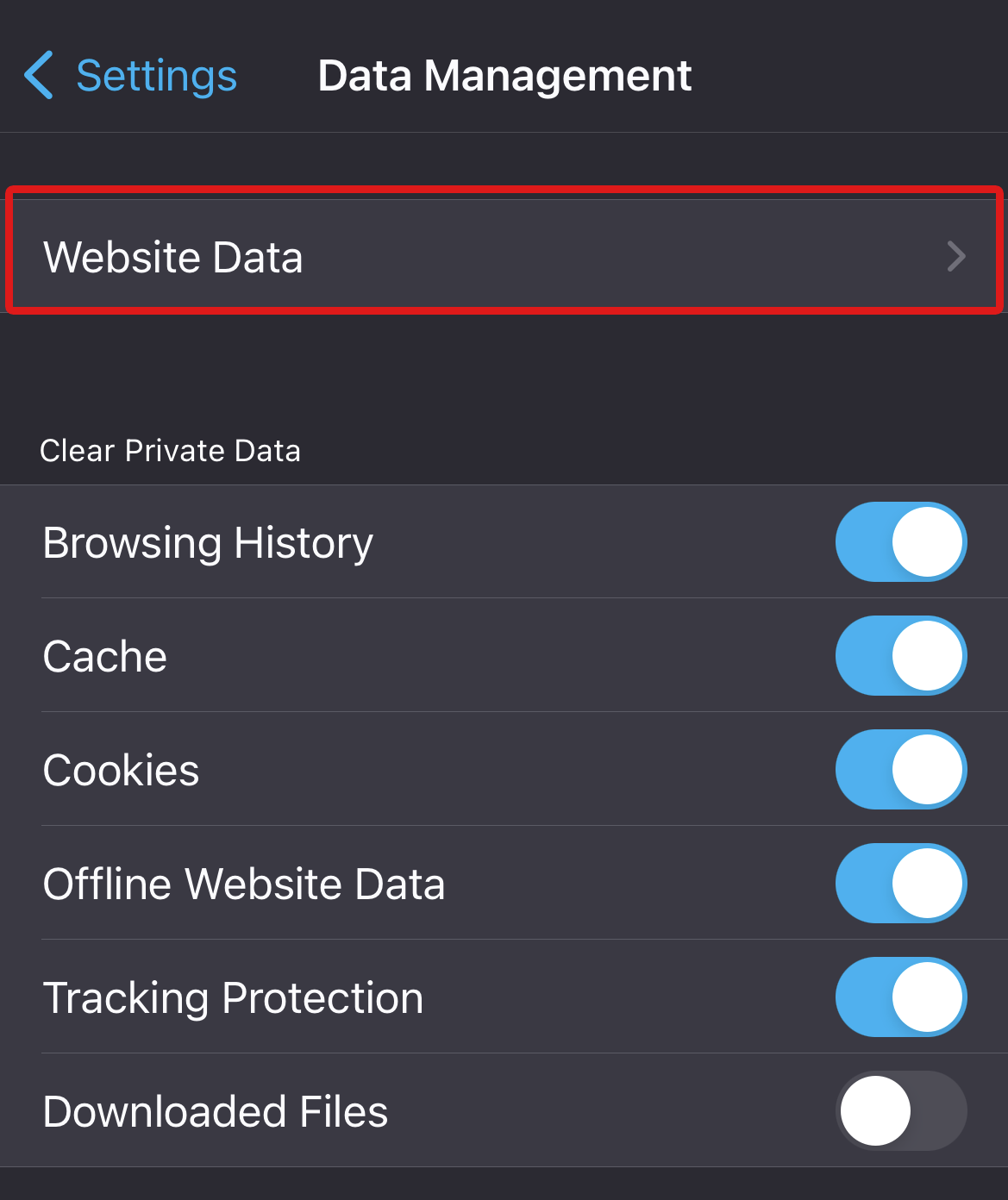 Firefox Website Data tab