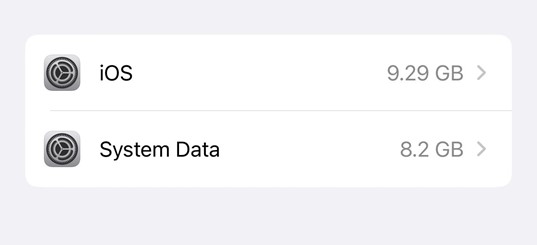 check your system data on iphone